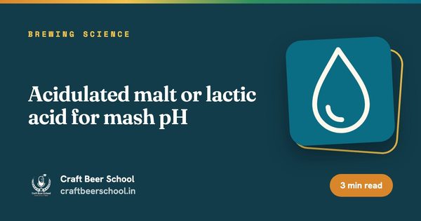 Acidulated malt or lactic acid for mash pH
