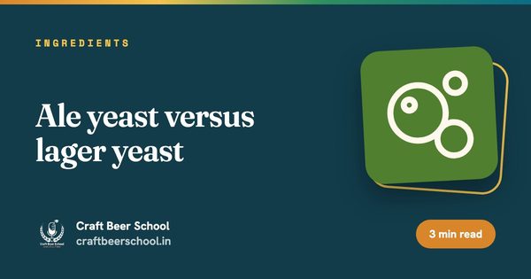 Ale yeast versus lager yeast