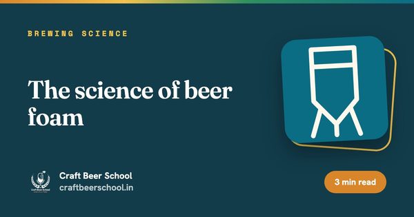 The science of beer foam