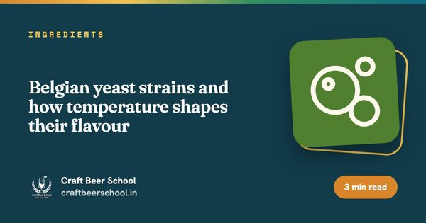 Belgian yeast strains and how temperature shapes their flavour