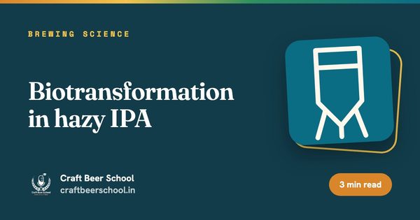 Biotransformation in hazy IPA