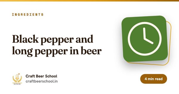 Black pepper and long pepper in beer