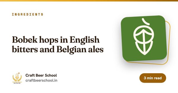 Bobek hops in English bitters and Belgian ales