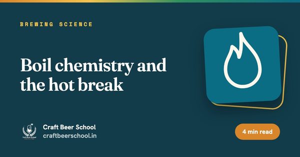 Boil chemistry and the hot break