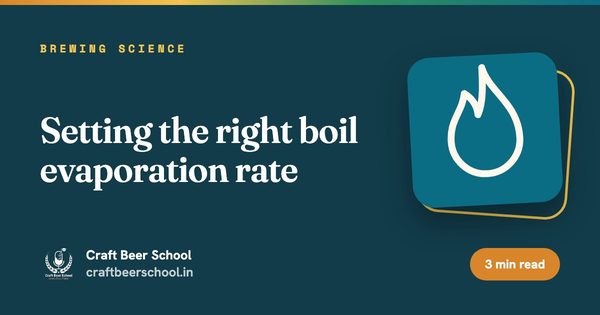 Setting the right boil evaporation rate