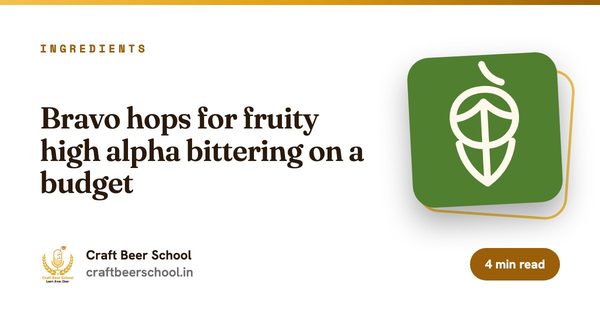 Bravo hops for fruity high alpha bittering on a budget