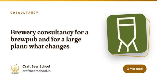 Brewery consultancy for a brewpub and for a large plant: what changes