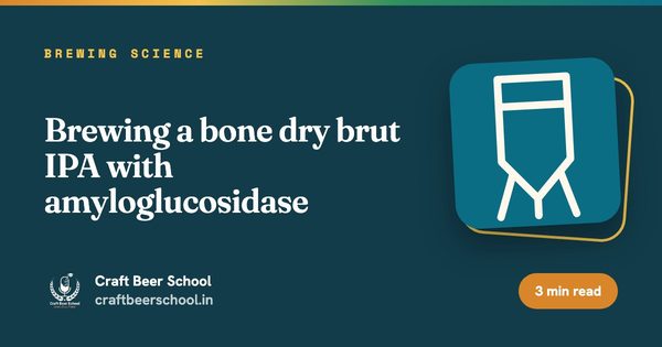 Brewing a bone dry brut IPA with amyloglucosidase