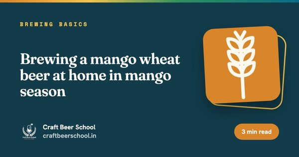 Brewing a mango wheat beer at home in mango season