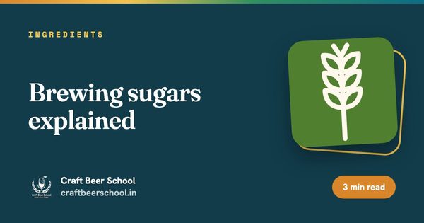 Brewing sugars explained