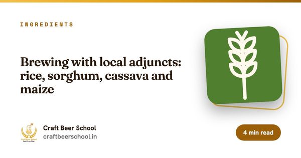 Brewing with local adjuncts: rice, sorghum, cassava and maize