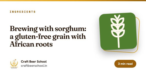 Brewing with sorghum: a gluten-free grain with African roots