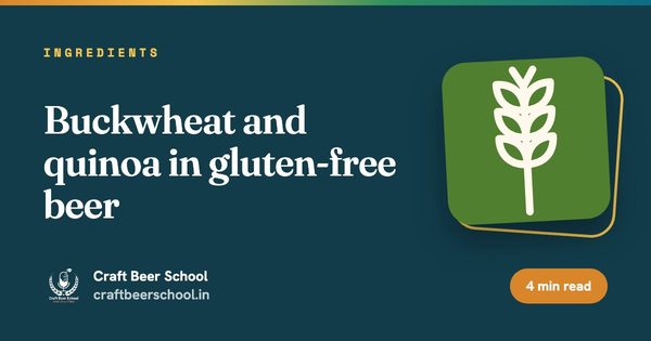 Buckwheat and quinoa in gluten-free beer