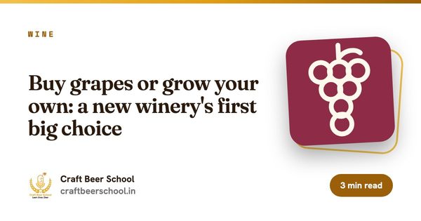 Buy grapes or grow your own: a new winery's first big choice
