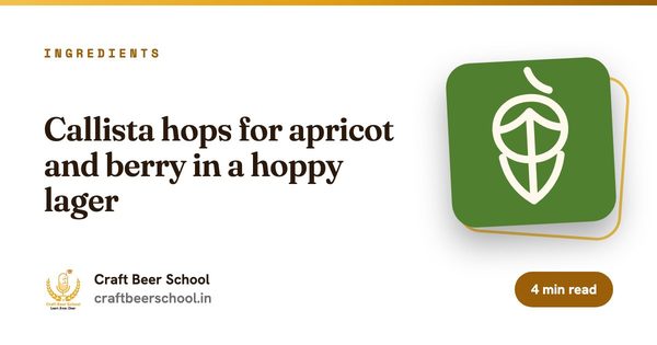 Callista hops for apricot and berry in a hoppy lager