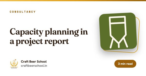 Capacity planning in a project report