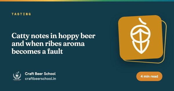 Catty notes in hoppy beer and when ribes aroma becomes a fault