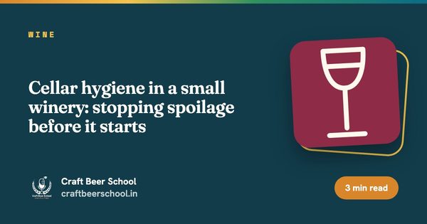 Cellar hygiene in a small winery: stopping spoilage before it starts