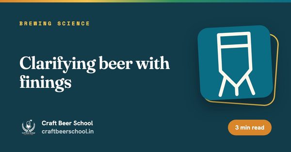 Clarifying beer with finings