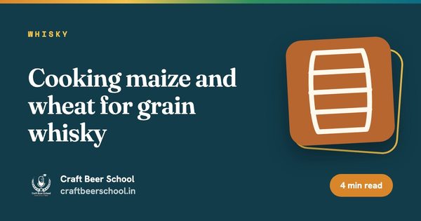 Cooking maize and wheat for grain whisky