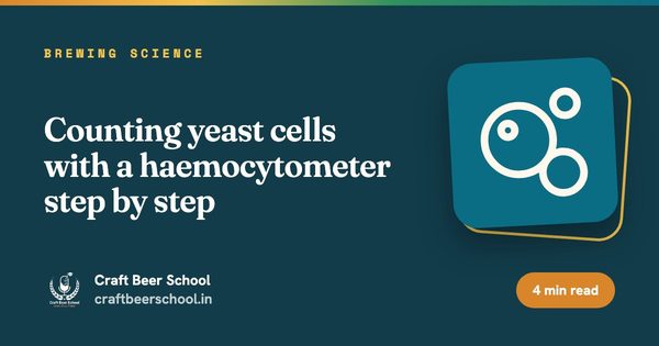 Counting yeast cells with a haemocytometer step by step