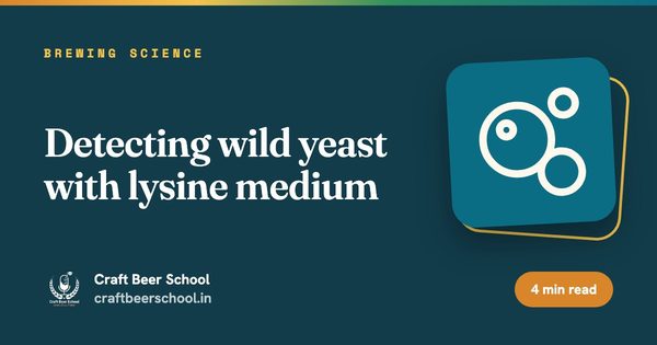 Detecting wild yeast with lysine medium