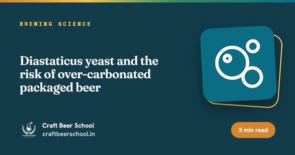 Diastaticus yeast and the risk of over-carbonated packaged beer
