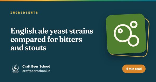 English ale yeast strains compared for bitters and stouts