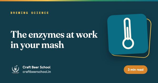 The enzymes at work in your mash