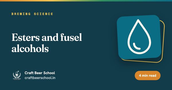 Esters and fusel alcohols