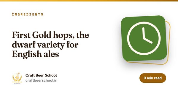 First Gold hops, the dwarf variety for English ales