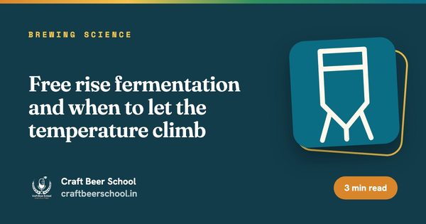 Free rise fermentation and when to let the temperature climb