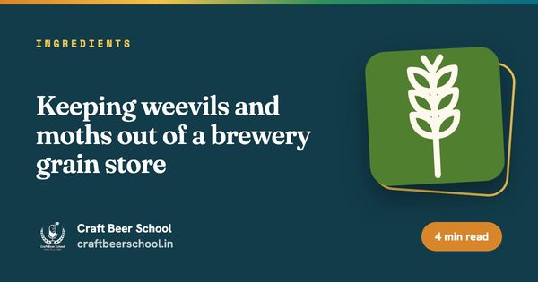 Keeping weevils and moths out of a brewery grain store