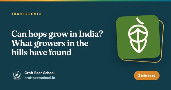 Can hops grow in India? What growers in the hills have found
