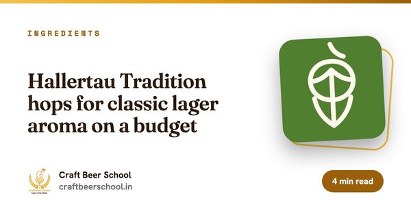 Hallertau Tradition hops for classic lager aroma on a budget