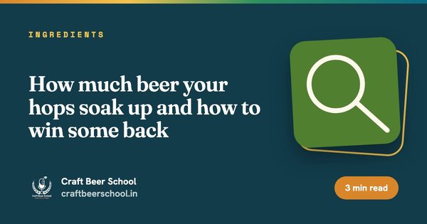 How much beer your hops soak up and how to win some back