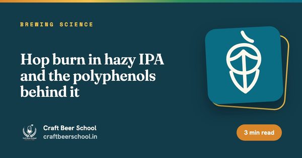 Hop burn in hazy IPA and the polyphenols behind it