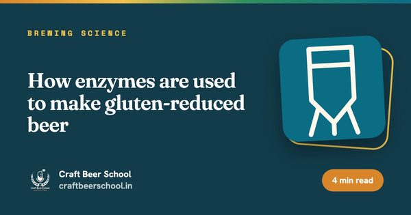 How enzymes are used to make gluten-reduced beer