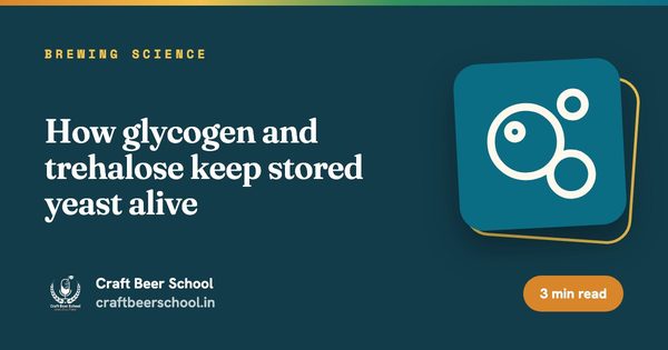 How glycogen and trehalose keep stored yeast alive