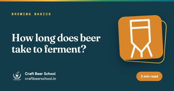 How long does beer take to ferment?