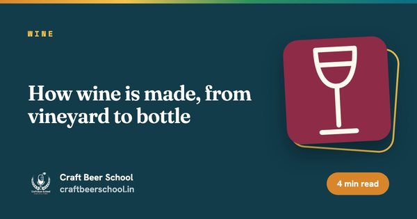 How wine is made, from vineyard to bottle