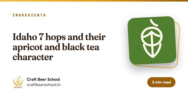 Idaho 7 hops and their apricot and black tea character