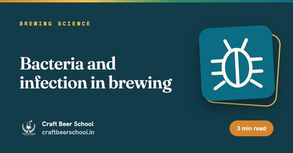 Bacteria and infection in brewing