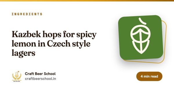 Kazbek hops for spicy lemon in Czech style lagers