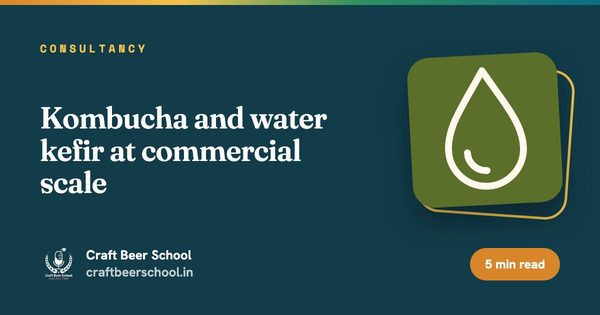 Kombucha and water kefir at commercial scale