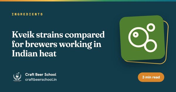 Kveik strains compared for brewers working in Indian heat