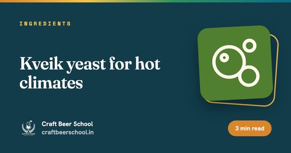 Kveik yeast for hot climates