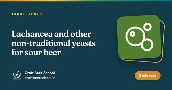 Lachancea and other non-traditional yeasts for sour beer