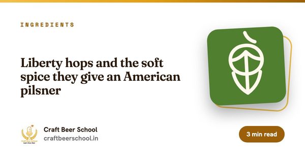 Liberty hops and the soft spice they give an American pilsner