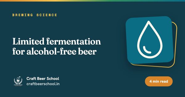 Limited fermentation for alcohol-free beer